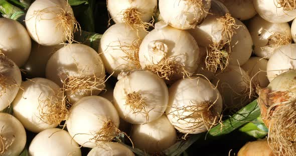 Fresh vegetables on stalls in a southern France market. Onions