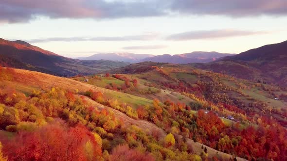 Wonderful Landscape From a Bird's Eye View