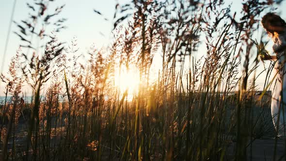 Silhouette of Bride in Wedding Dress Walking in Grass at Sea at Sunset. Woman Goes with a Bouquet