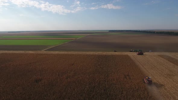 Corn Harvest Landscape