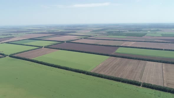 4K aerial shot of fields with various types of agriculture