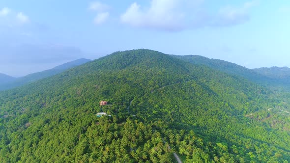 Deep Jungle Forest Hill Landscape Aerial View