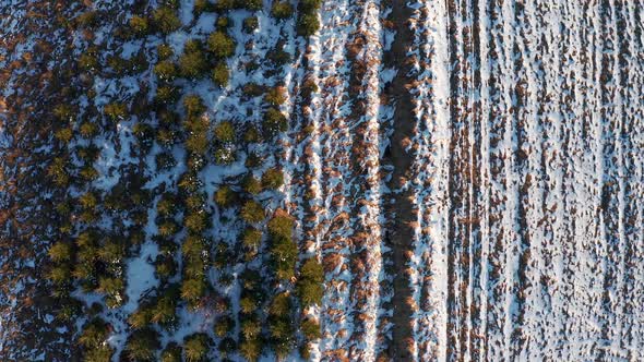 Vertical Shot Of A Snowy Rural Landscape Near Village Of Podczerwone In Poland During Winter. - Aeri