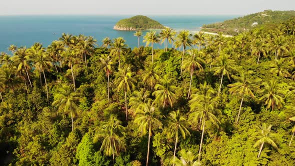 Aerial Drone View Small Koh Ma Island, Ko Phangan Thailand. Exotic Coast Panoramic Landscape, Mae