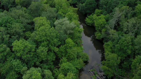 Aerial View of the Beautiful Landscape  the River Flows Among the Green Deciduous Forest