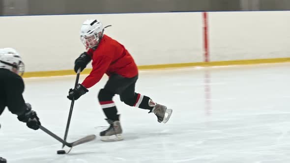 Hockey Minor League Playing Rough