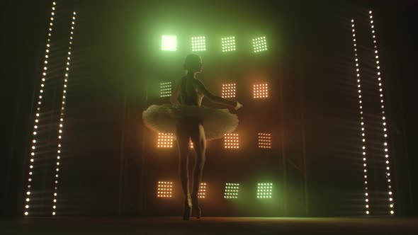 The Flexible Young Ballerina Is Rehearsing the Part of the White Swan. The Girl Performs Classic