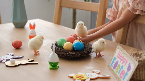 Little Girl Holding Chick in Hands at Easter