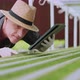 Caucasian male business owner observes about growing organic arugula on hydroponics farm - VideoHive Item for Sale