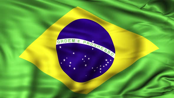 Brazil Flag