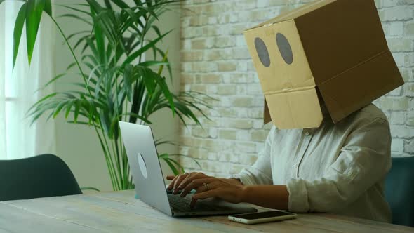 Identity and security online concept with people working on laptop with carton box on his head.