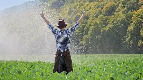 Back View of Farmer Standing in Plantation and Raises His Hands Up.