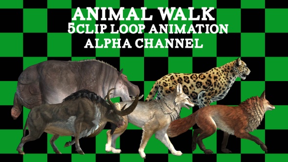 Animal Walk Set 5 Clip alt