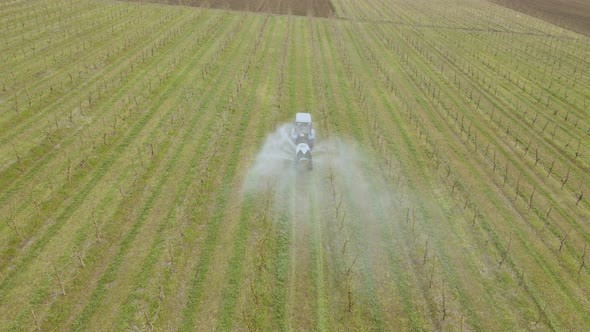 Aerial View of a Tractor Which Spraying Chemical Insecticide or Fertilizers to Orchard Trees