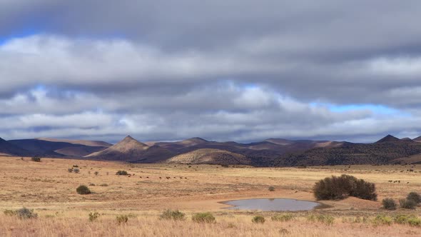 Time Lapse - Mountain Zebra National Park