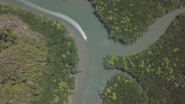 Aerial view of river in Park Kilim Geoforest, Langkawi, Malaysia. Beautiful mountains, trees around