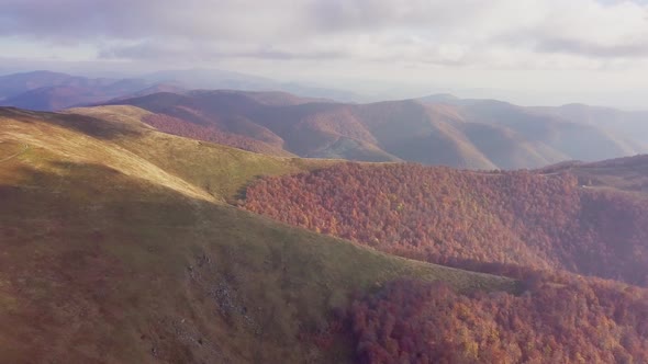 Wonderful Landscape From a Bird's Eye View