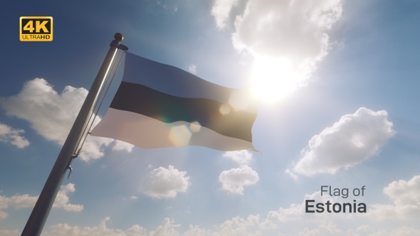 Estonia Flag on a Flagpole V2 - 4K