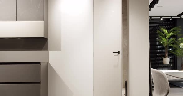 Minimalist white door in a modern home. Modern Apartment with white modern door