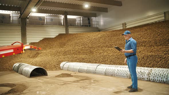 Potato Harvesting