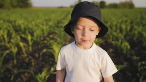 A Little Boy in a Hat Run Through a Cornfield