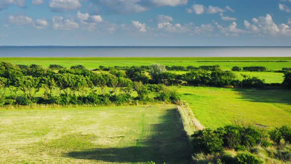 organic farming Dutch island Terschelling Boschplaat Oosterend fields ZOOM OUT