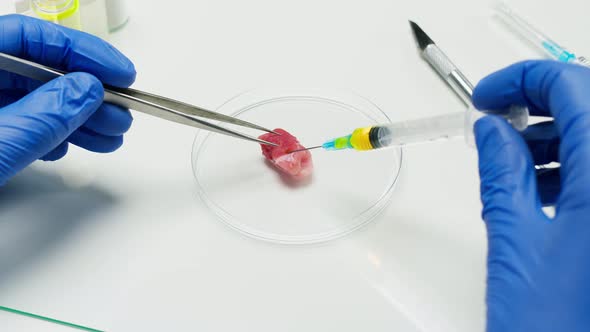 Medical Scientist Specialist Injecting Meat with Syringe in Glass Dish Food Research in Modern