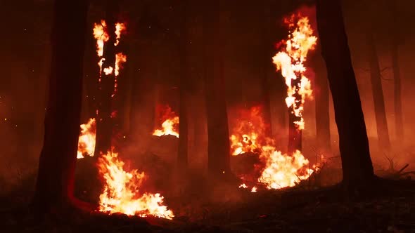 Flame On The Background Of The Forest, Trees Are Burning alt
