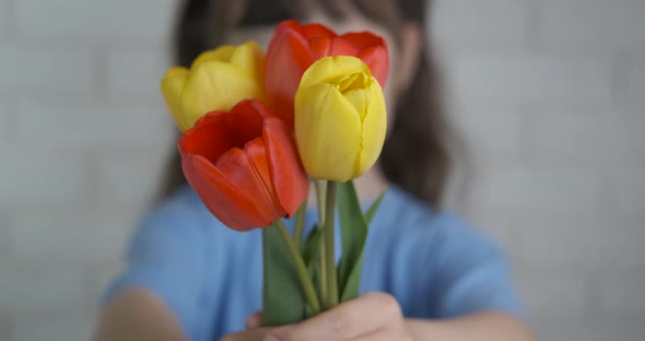 Prepare tulips for mother. 