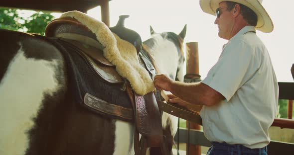 Cowboy Adjusting the Saddle on his Horse