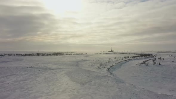 Tundra in the Snow