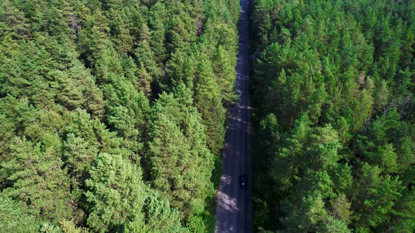 Black Car On The Road In The Forest