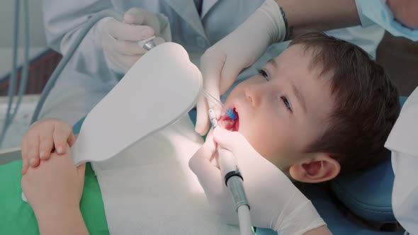 Woman Dentist Examines Baby Teeth of Little Boy Patient in Clinic