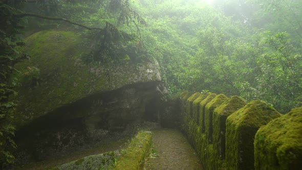 Ancient Old Moors Castle Defensive Wall Covered with Greenery and Moss