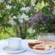 Table Set for Tea Drinking in the Garden in Spring - VideoHive Item for Sale