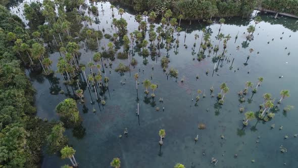 Macaws Lake tourism landmark at Nobres Mato Grosso Brazil. Touristic point.