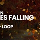 Falling Leaves Autumn 4K+Loop [Transparent] - VideoHive Item for Sale