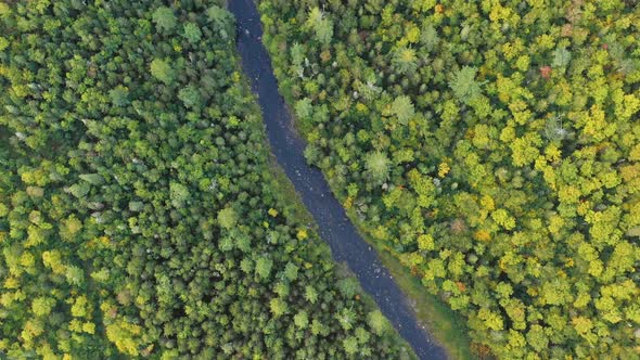 Drone footage flying high above a winding river in the forest TOP DOWN