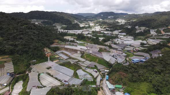 Cameron Highlands, Pahang Malaysia