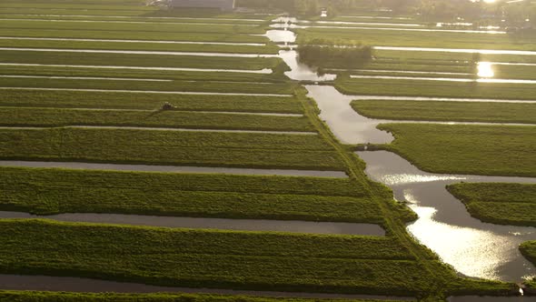 Tractor collecting grass for cattle from field with irrigation canals - aerial