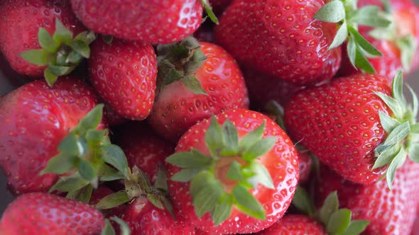 Harvest Of Ripe Red Strawberries Rotation Closeup Vertical Shot