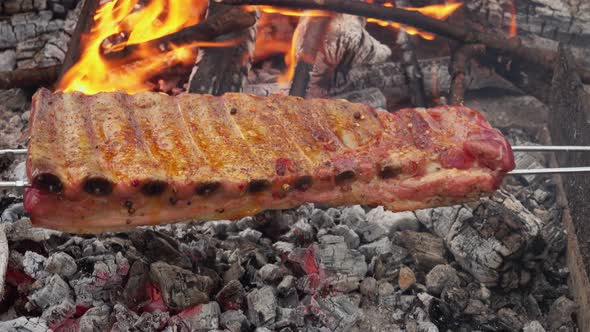 Closeup of the Juicy Ribs on the Skewers Roasting on the Background of the Fire