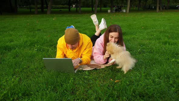 Young Students Sit on the Grass with a Dog on the University Campus and Work at a Computer