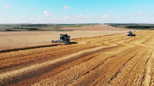 Crops Harvesting Carried Out By Combined Vehicles