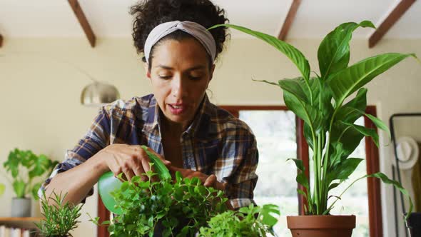 Mixed race woman spraying water on plants at home