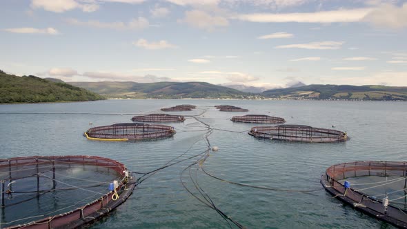 A Salmon Fish Farm in Scotland Providing Aquaculture for Food Markets