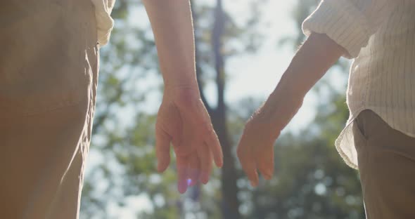 Cropped Shot of Senior Man and Woman Holding Hands Outdoors