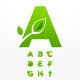 Set of Green Eco Letters with Leaves - GraphicRiver Item for Sale
