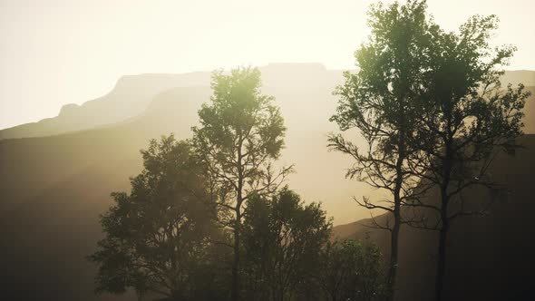 Scenic Landscape with Steep Cliffs and Trees During a Sunny Day