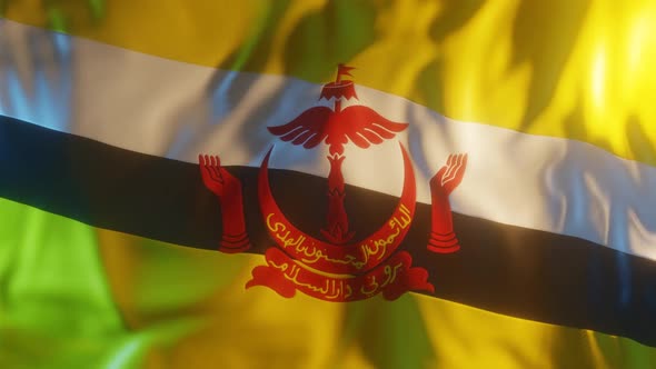 Brunei Flag with Edge Bump